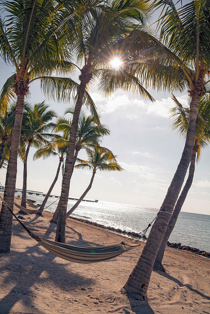 Strandimpression mit Hängematte, Luxushotel Reach Resort, Key West, Florida Keys, USA