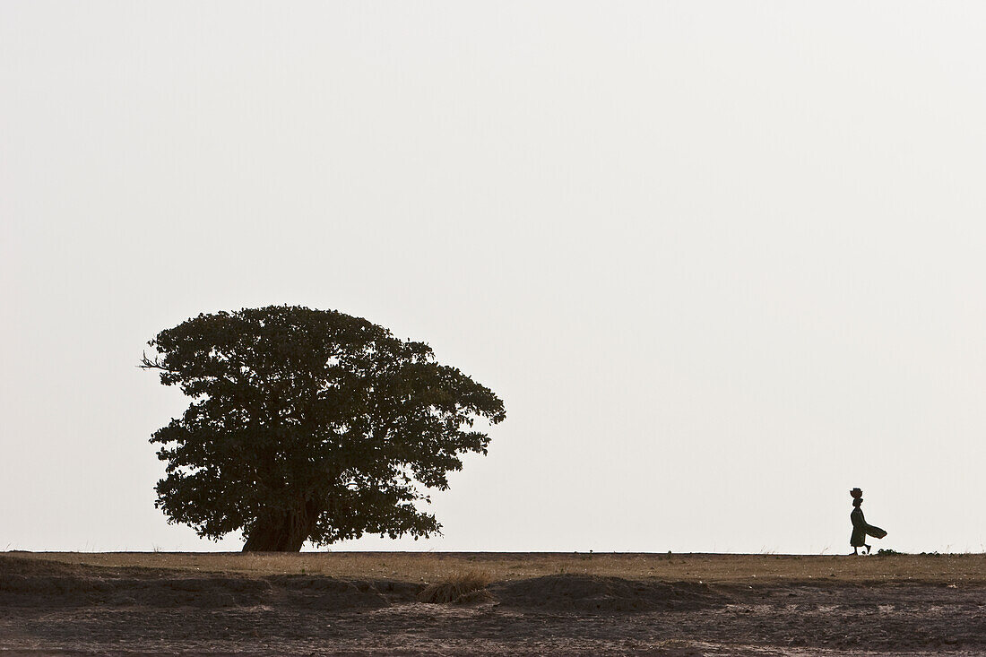 Woman and tree along the shores of the Niger River between Mopti and Lake Débo, Mali