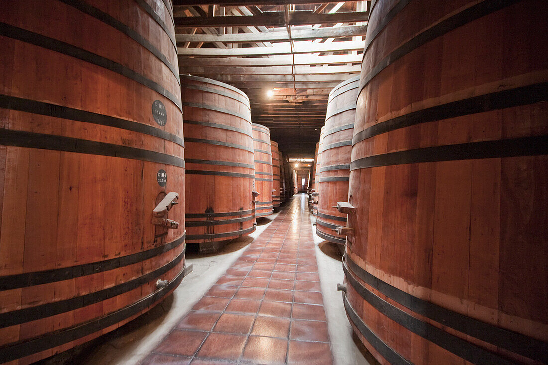 Barrels in the historic cellar of Viña Cousiño Macul winery, Santiago, Región Metropolitana, Chile