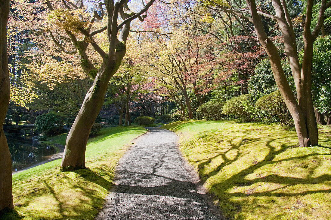 Nitobe Memorial Garden, a traditional Japanese Tea and Stroll garden located at the University of British Columbia, Vancouver, British Columbia, Canada