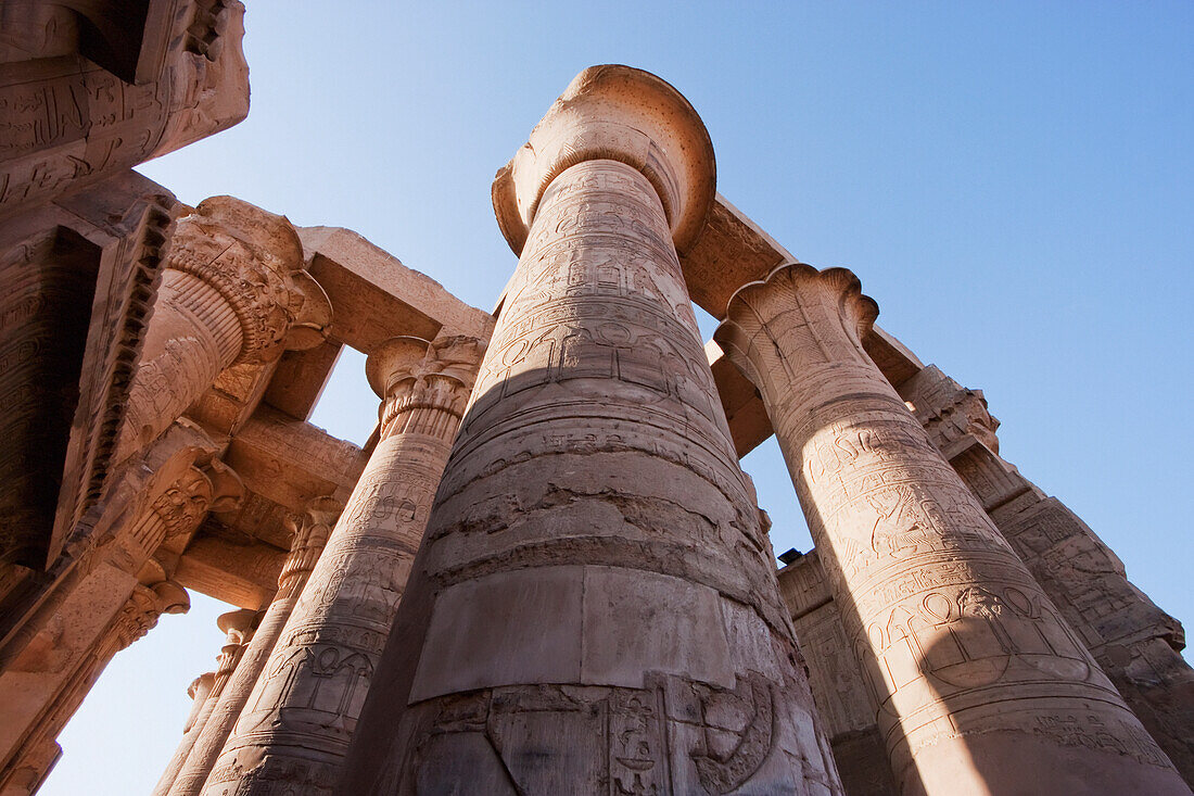 Columns of the Hypostyle Hall of the Temple of Sobek and Haroeris, Kom Ombo, Aswan, Egypt