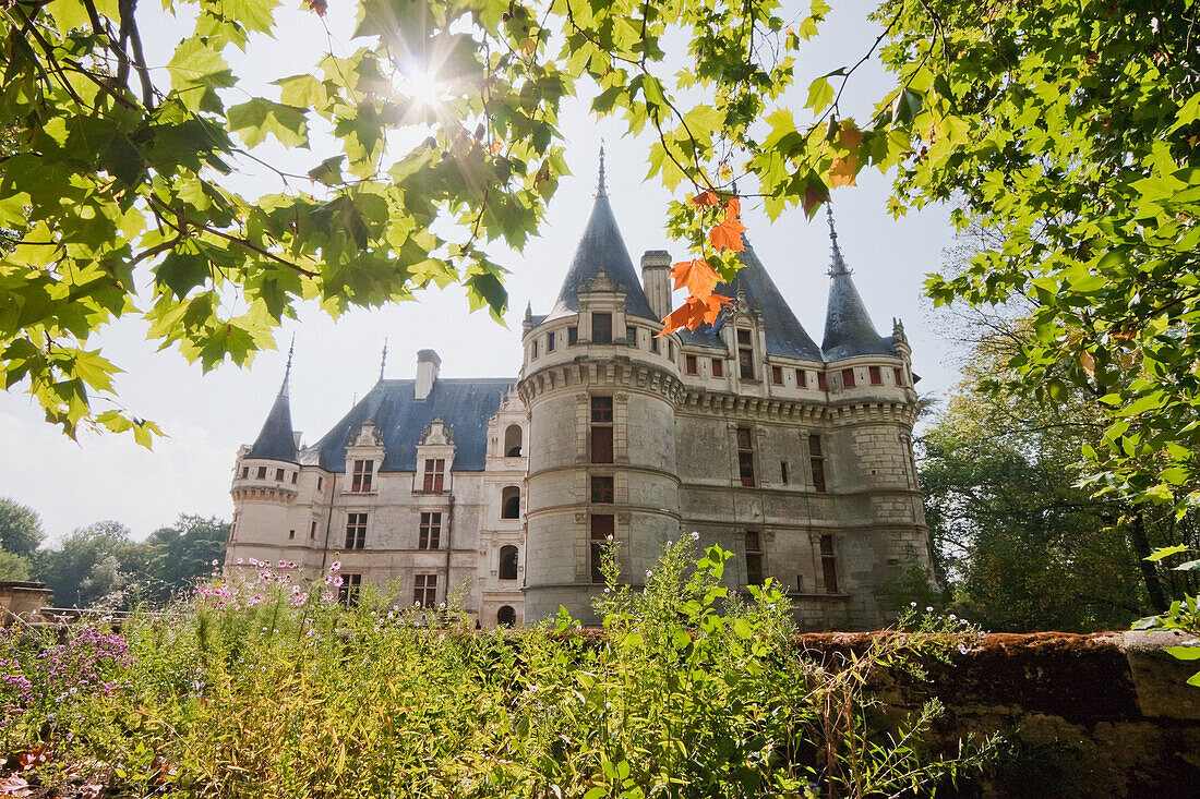 Chateau d'Azay-le-Rideau, as seen through foliage, Azay-le-Rideau, Indre-et-Loire, France