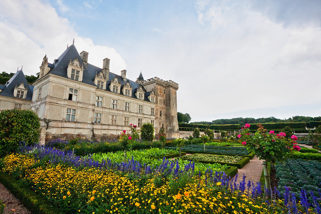 Renaissance kitchen garden of ChÃ¢teau de Villandry, Villandry, Indre-et-Loire, France