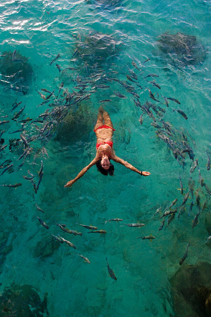 School of fish encircling woman floating in tropical ocean water.