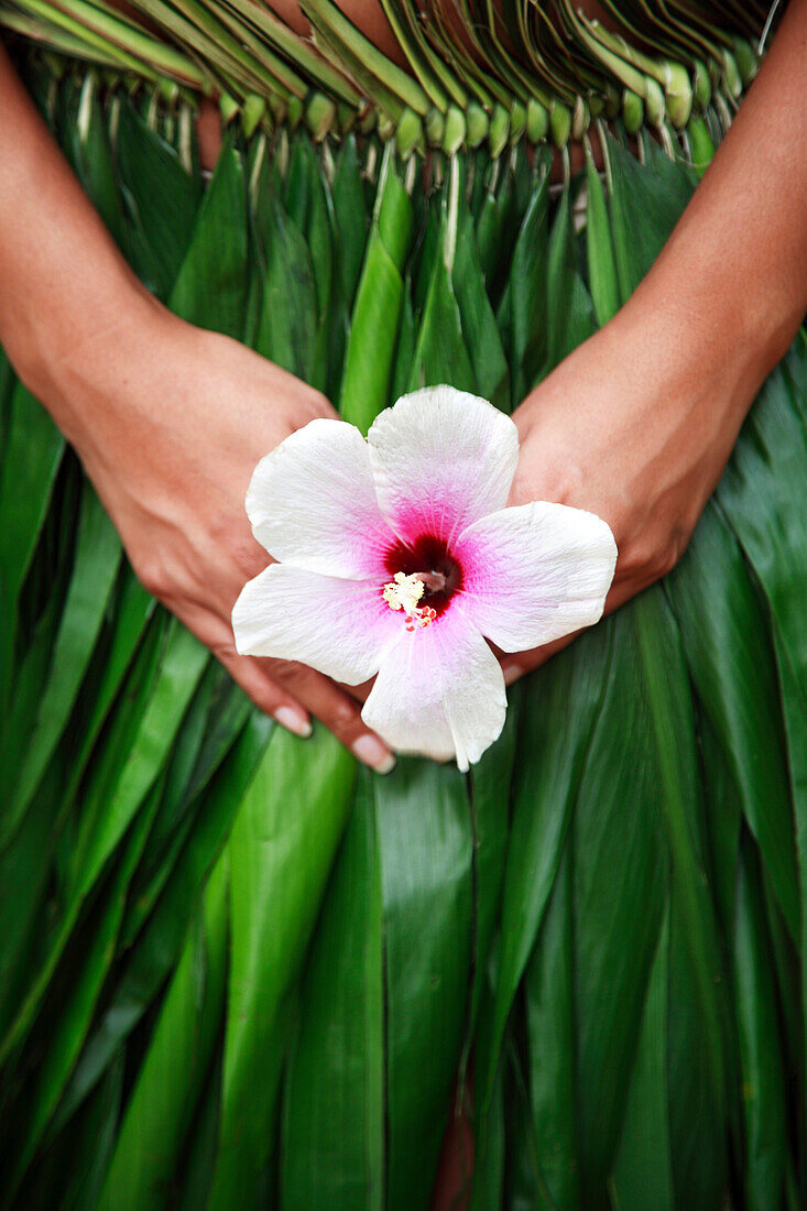 Hawaii, Oahu, Closeup of hula dancer hands holding a white hibiscus flower.