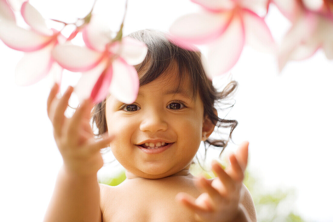 Hawaii, Oahu, Baby girl playing with plumeria flowers.