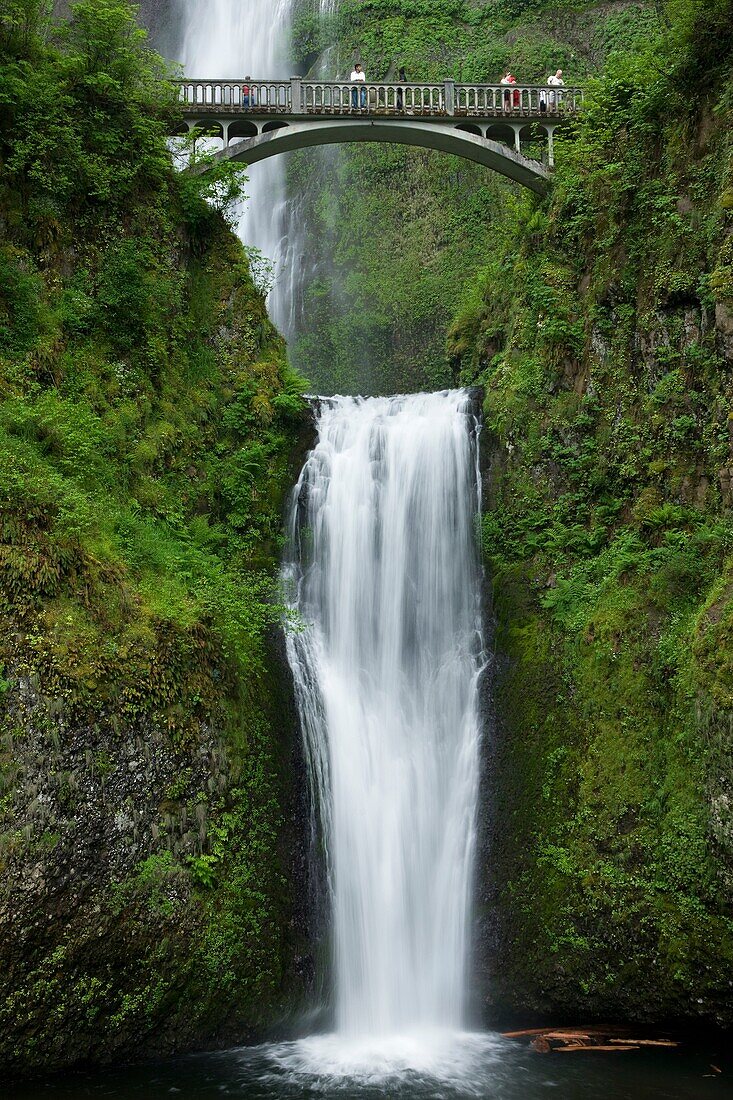 FOOTBRIDGE OVER MULTNOMAH WATERFALLS COLUMBIA RIVER GORGE OREGON USA