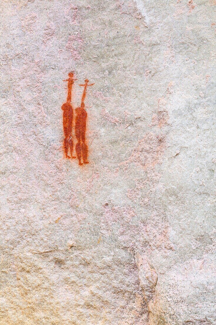 Human figures, Sevilla Bushman Rock Art Trail, Clanwilliam, Cederberg Mountains, Western Cape province, South Africa, Africa