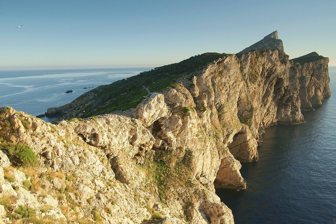 Naturpark Dragonera Ponent Andratx Mallorca Balearen Spanien