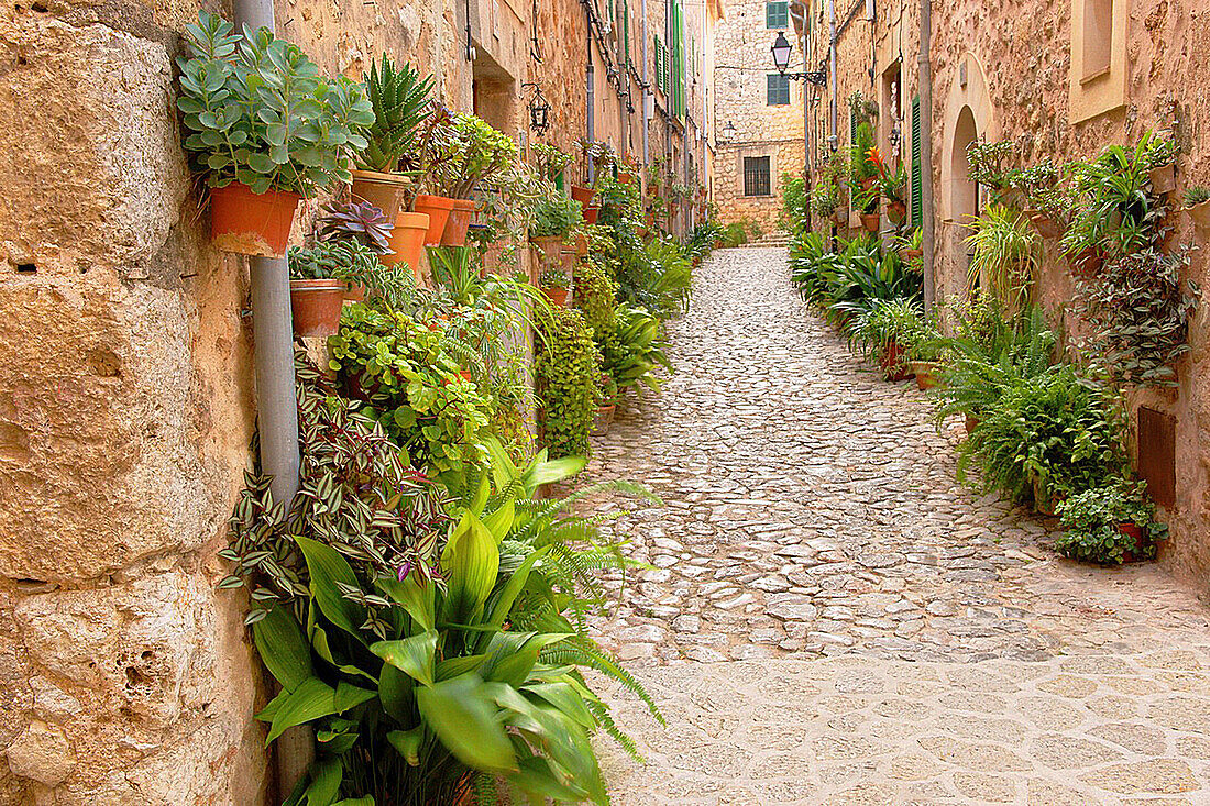 Valldemossa, Sierra de Tramuntana Mallorca, Balearische Inseln, Spanien