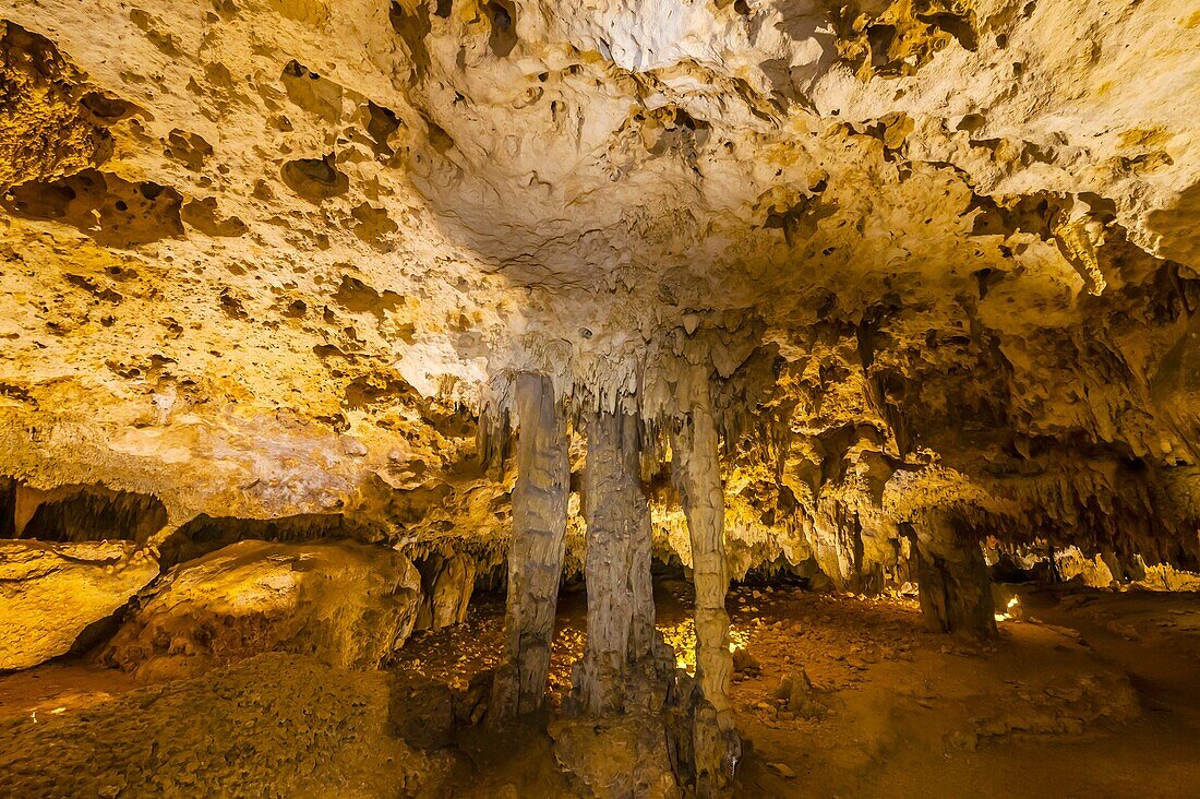 Limestone caves containing stalactites, Aktun Chen Natural Park, near Riviera Maya, Quintana Roo, Mexico