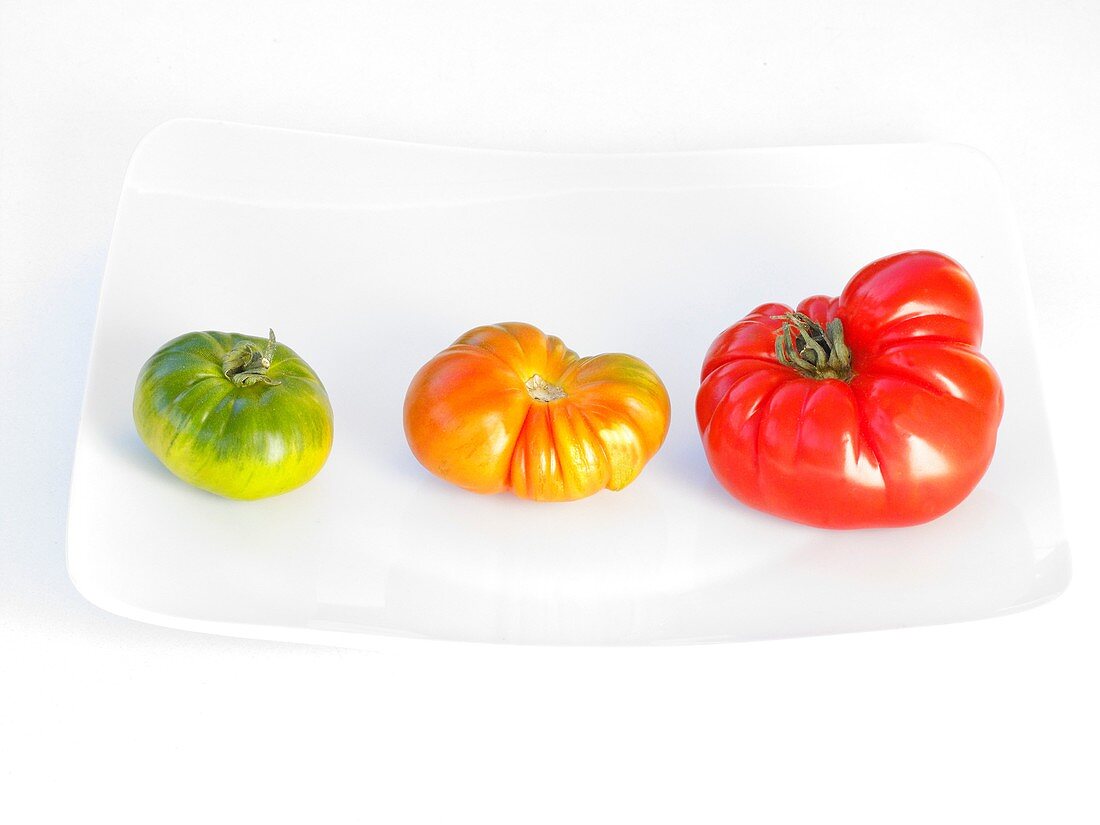 Stages of ripening of tomatoes