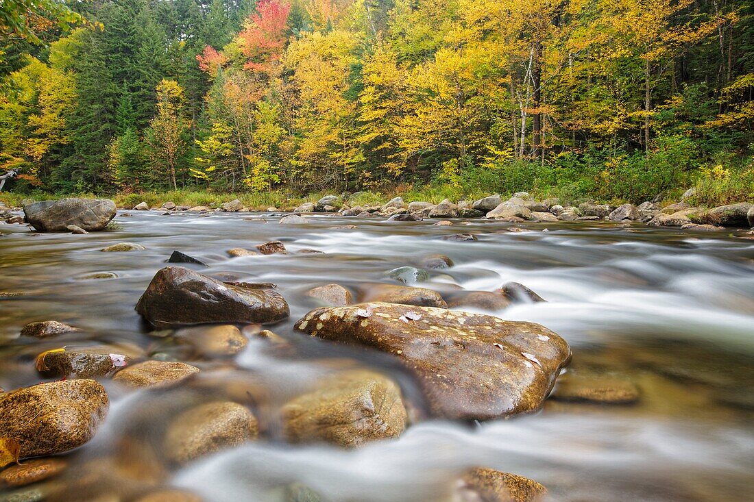 Ammonoosuc River in Carroll, New Hampshire USA during autumn months