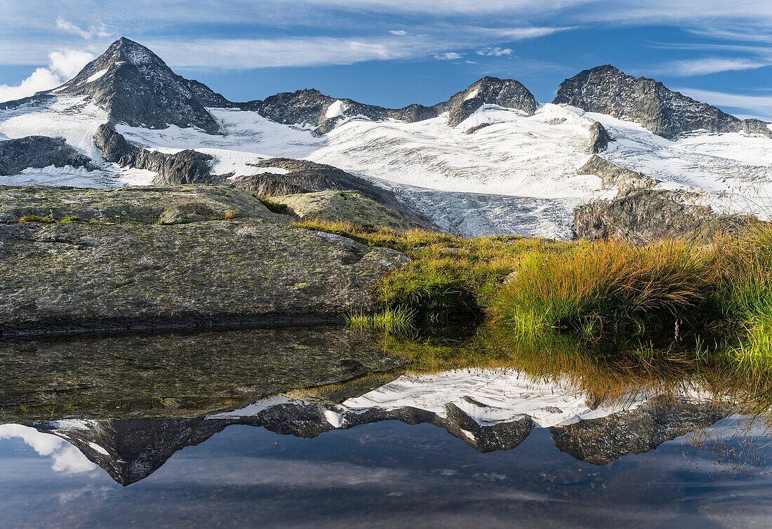 Valley head of valley Obersulzbachtal in the NP Hohe Tauern  The Peaks of Mt  Grosser Geiger and Mt  Maurerkeeskopf with a perfect reflection in a glacial pond  The National Park Hohe Tauern is protecting a high mountain environment with its characteristi