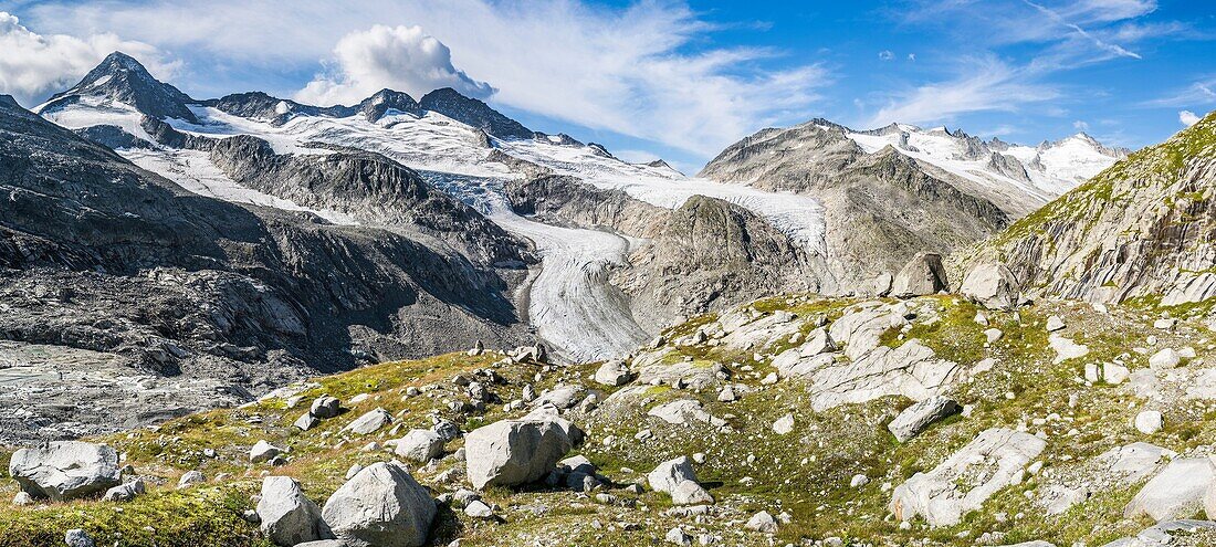 Valley head of valley Obersulzbachtal in the NP Hohe Tauern  The peaks of Mt  Grosser Geiger, Mt  Maurerkeeskopf and Mt  Schlieferspitz  The National Park Hohe Tauern is protecting a high mountain environment with its characteristic landforms, wildlife an