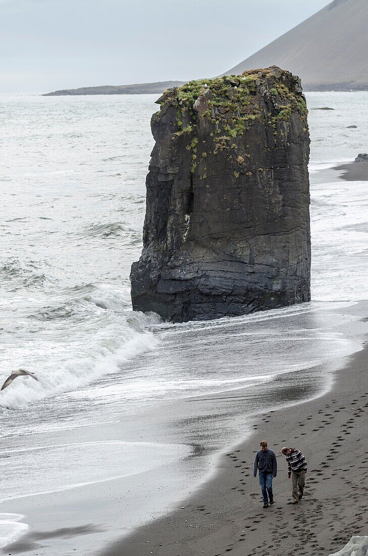 Hvalnes coast, East Iceland