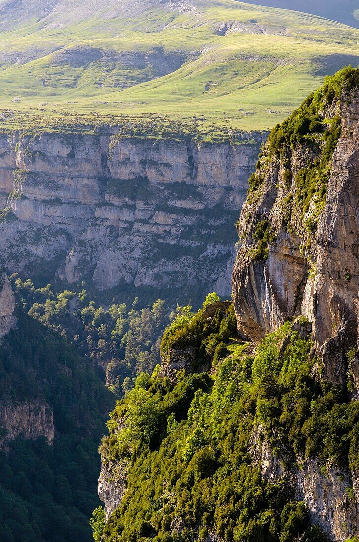 Añisclo canyon at Ordesa & Monte Perdido National Park, Huesca, Aragon, Spain Pyrenees
