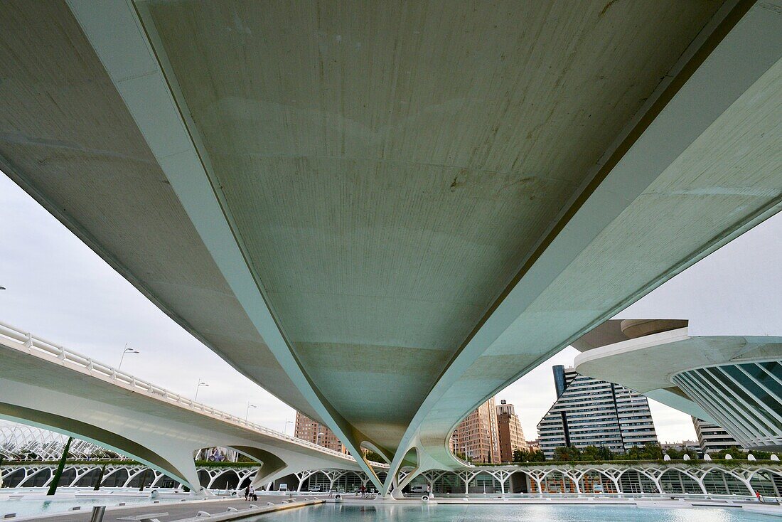 Monteolivete Bridge seen from below, Valencia, Spain, Europe