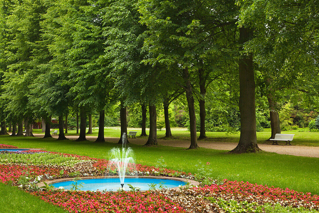 Alley of lime trees with fountain, Bad Pyrmont spa gardens, Lower Saxony, Germany