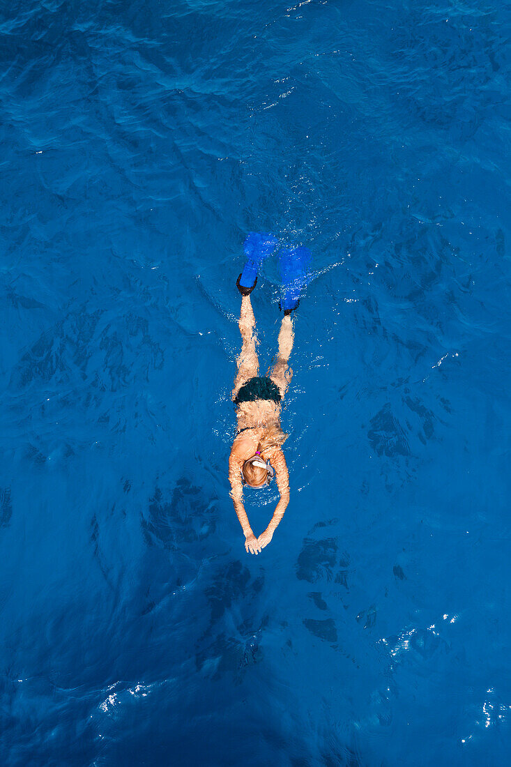 Snorkeling in Red Sea, Red Sea, Egypt