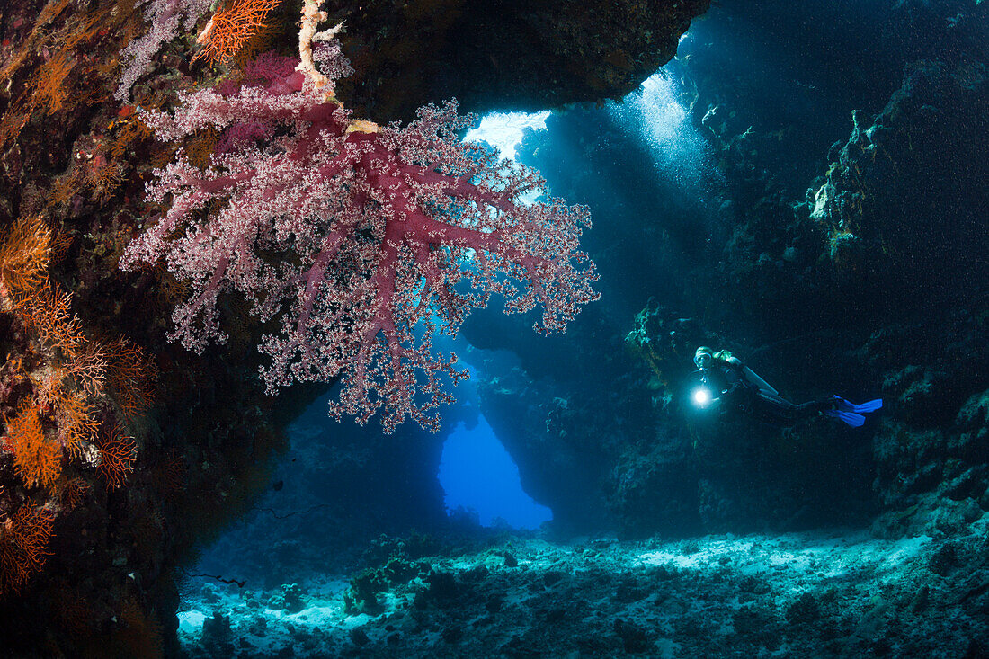 Scuba Diver inside Cave, Cave Reef, Red Sea, Egypt