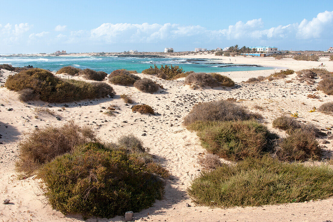 Sand dunes and coast, Nature Reserve, El Cotillo, Fuerteventura, Canary Islands, Spain, Europe