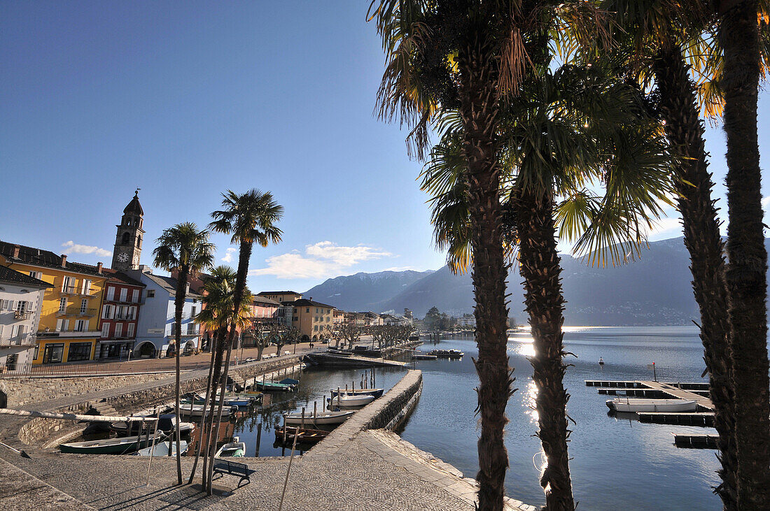 Am Seeufer von Ascona, Lago Maggiore, Tessin, Schweiz