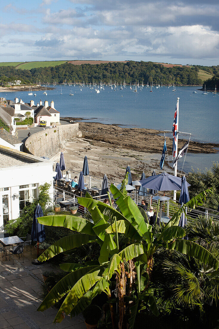 View from hotel room over a bed of banana trees towards the harbour of St. Mawes, St. Mawes, Cornwall, Great Britain