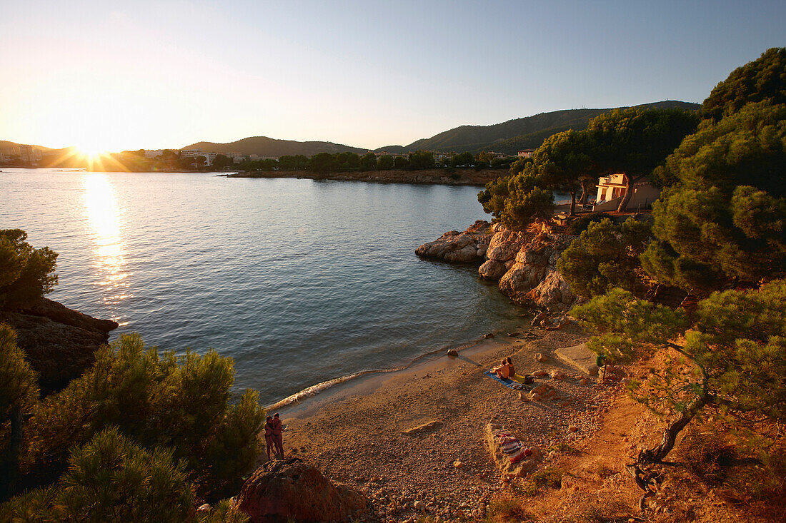 Beach in the sunset light,  near Portals Nous, west of Palma, Mallorca, Balearic Islands, Spain