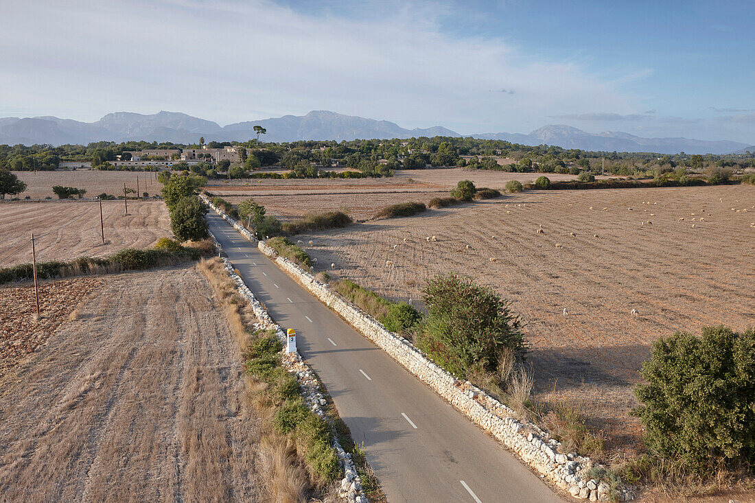 Rural road MA-3140 between harvested fields, leading to thorp Cas Canar, south of Sencelles, Mallorca, Balearic Islands, Spain