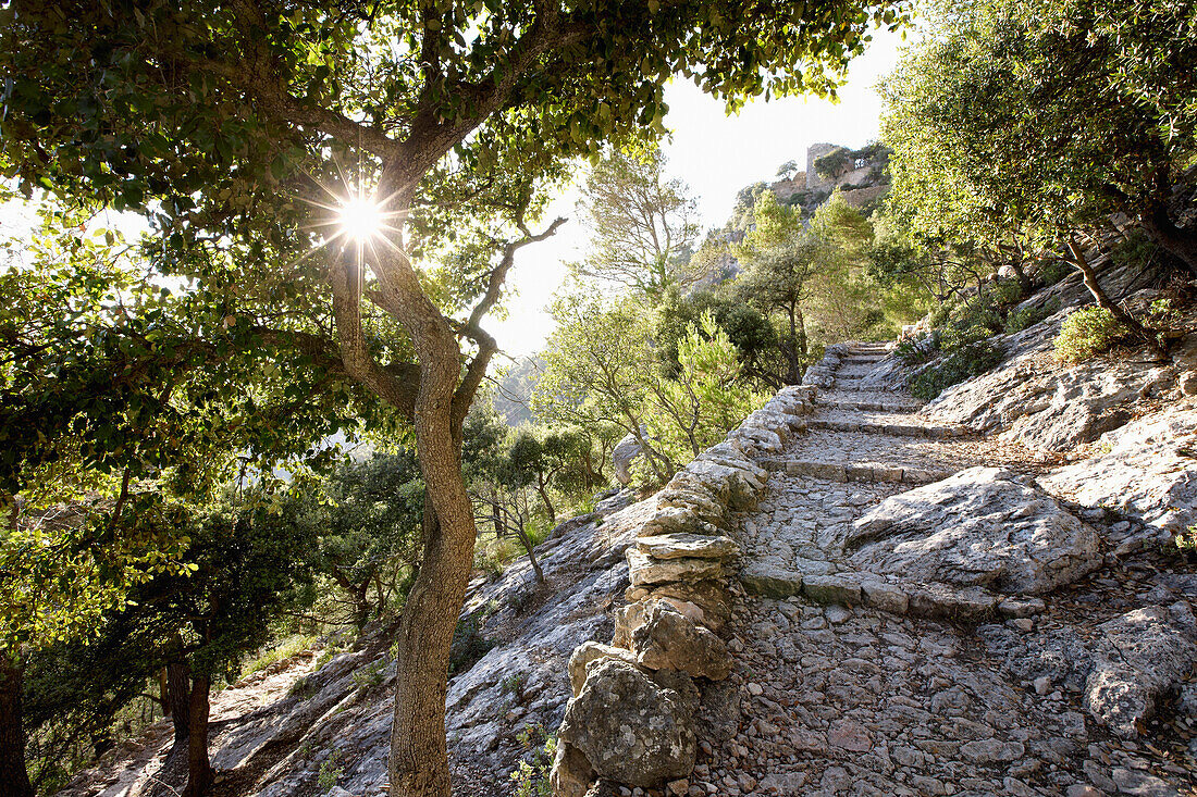 Fuss- und Wanderweg, gepflastert, führt zum Castell Alaró, auf Puig D'Alaró, beim Dorf Alaró, Tramuntana, Mallorca, Balearen, Spanien