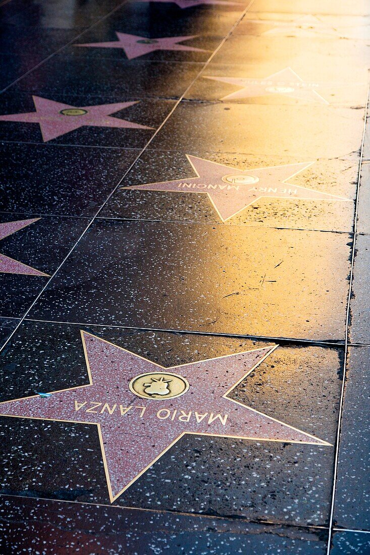 Hollywood Walk of Fame  Los Angeles, California, USA