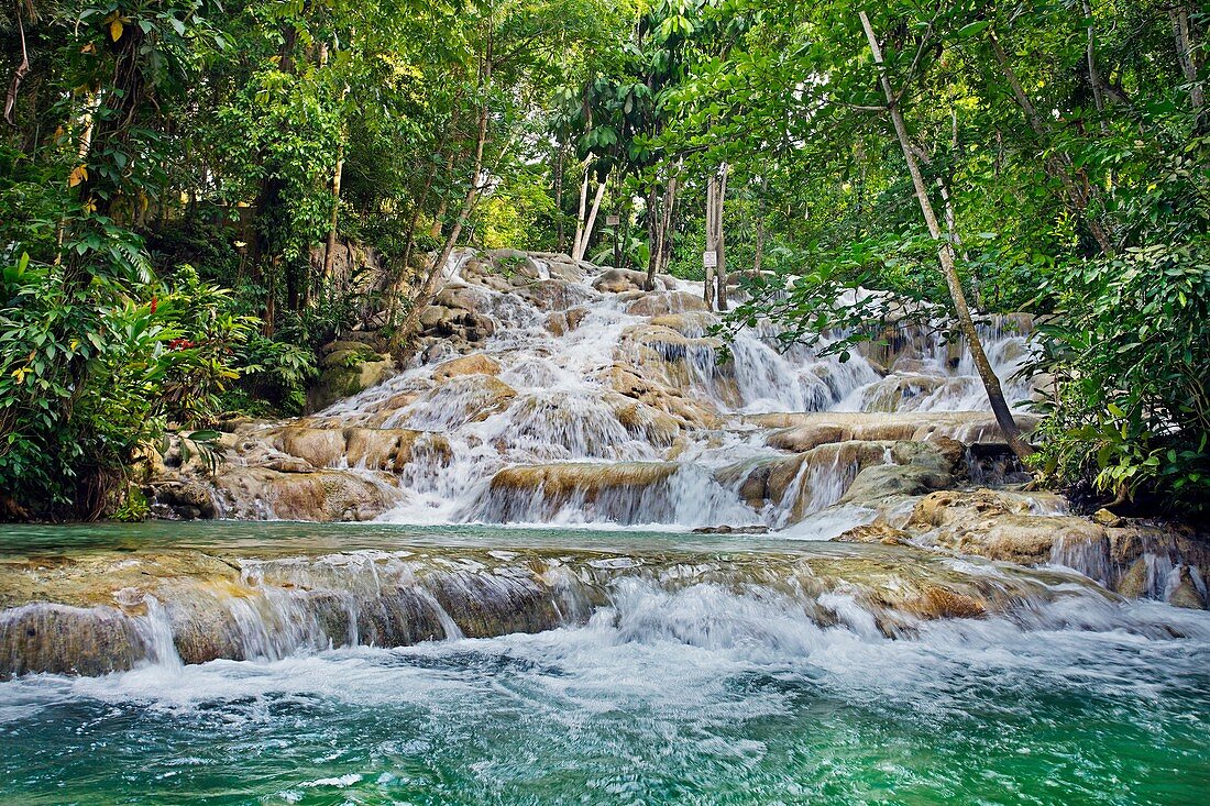 Dunns river falls Dunn´s river falls, Ocho Rios, Jamaica, West Indies, Caribbean, Central America.