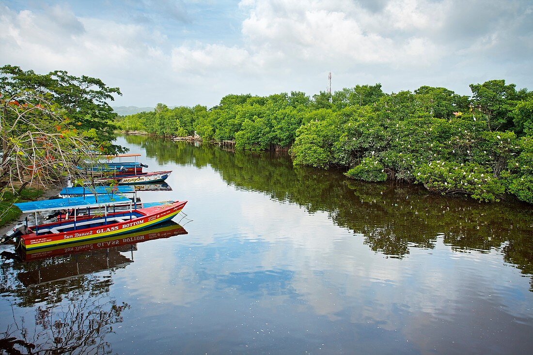 Negril river, Negril, Jamaica, West Indies, Caribbean, Central America.