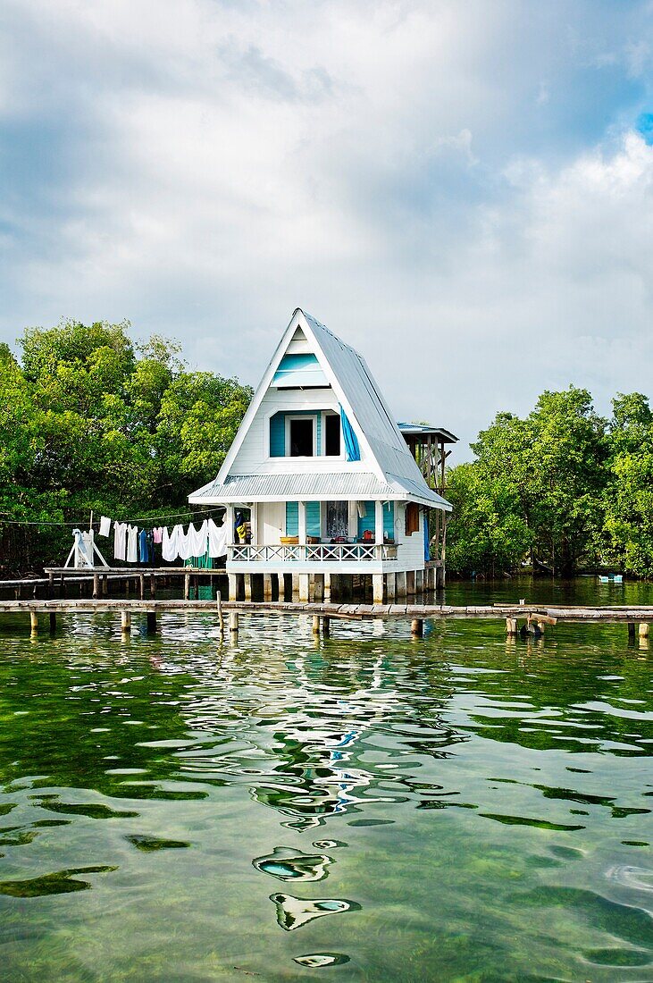 Bastimentos island, Bocas del Toro province, Caribbean sea, Panama.