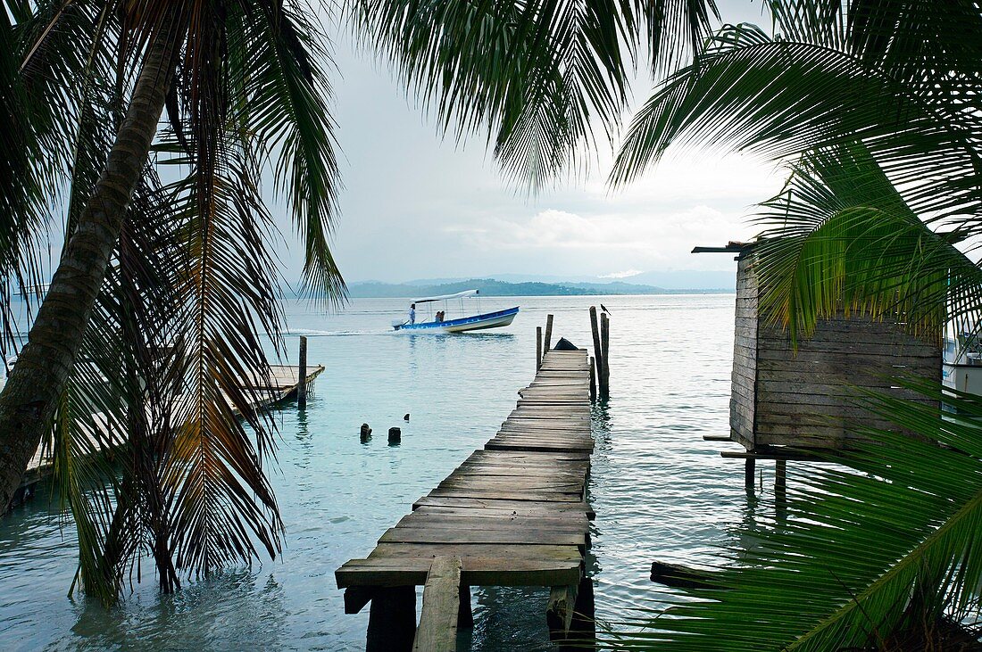 Beach, Carenero island, Bocas del Toro province, Caribbean sea, Panama.