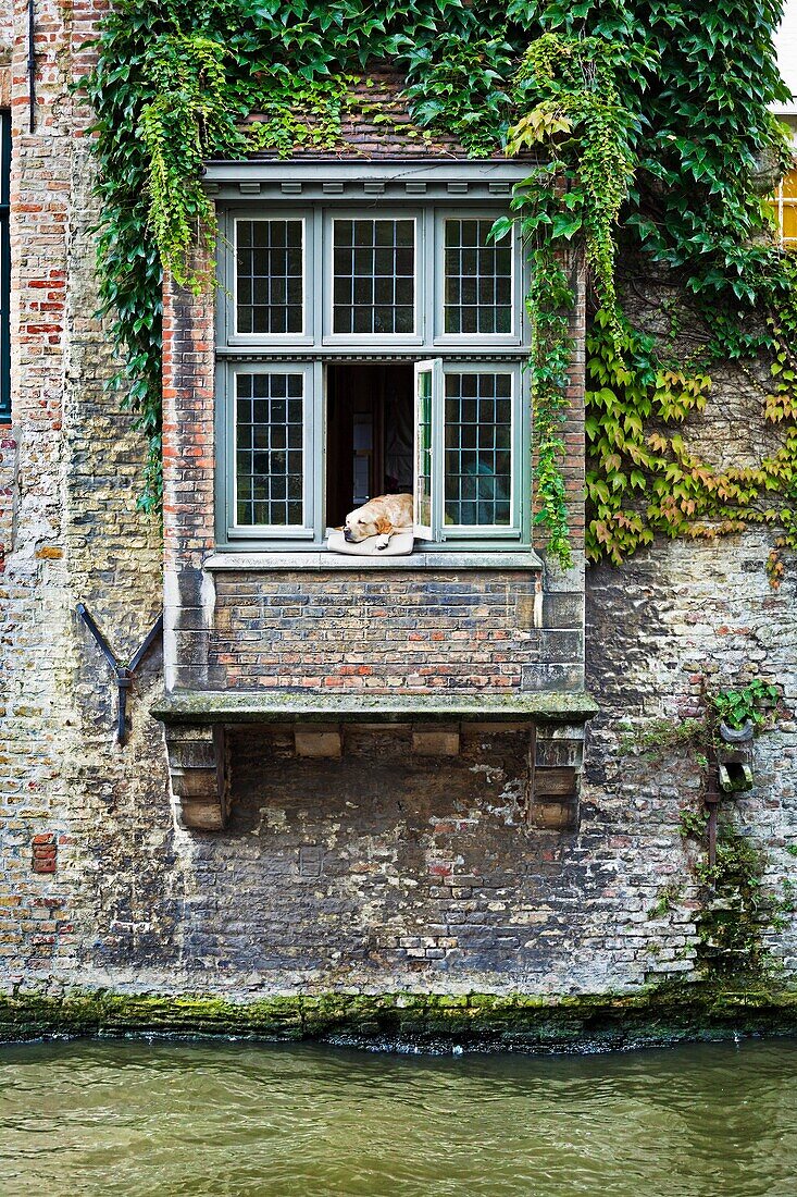 House by the canals, Brugge, Bruges, Flanders, Belgium.