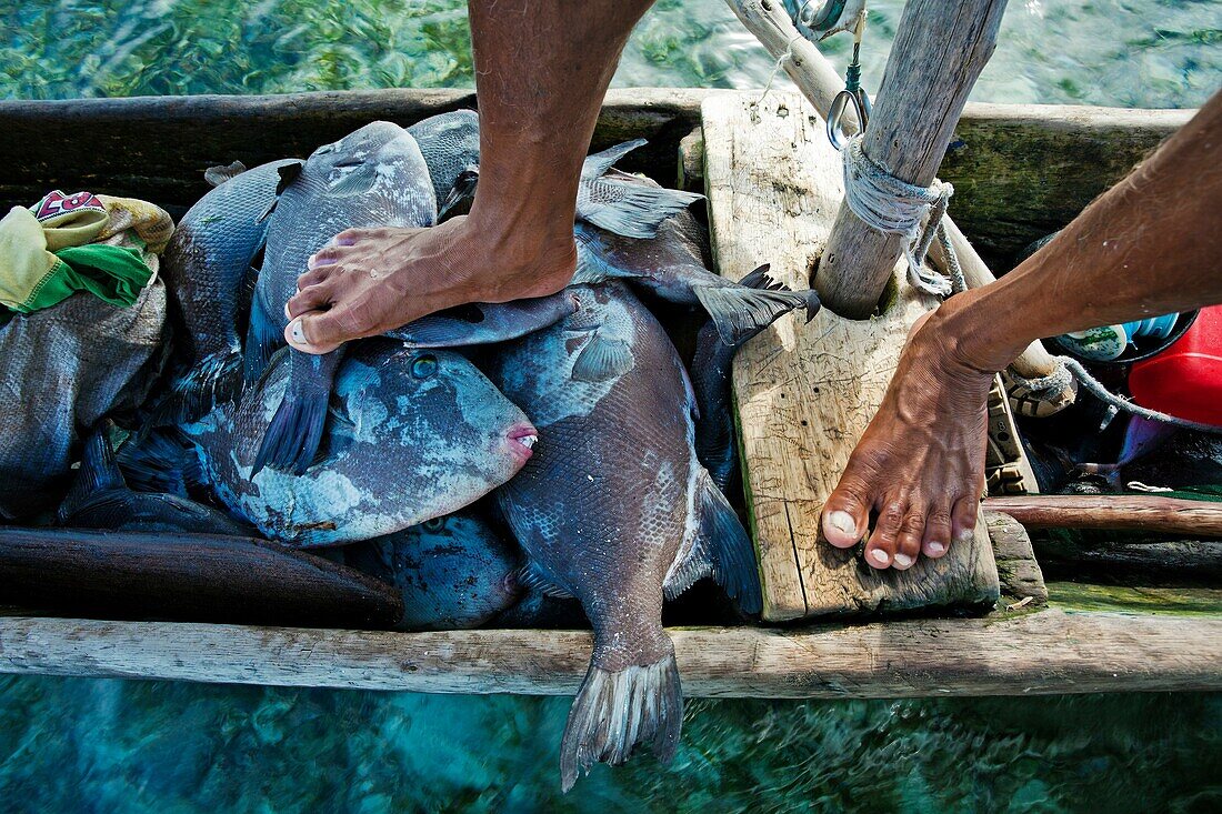 fisherman, Grullos keys, San Blas Islands also called Kuna Yala Islands, Panama.