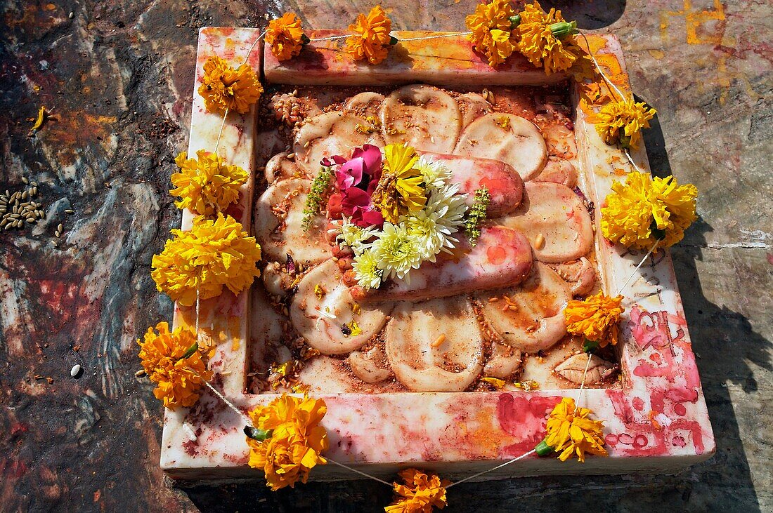 Making an offering ´Puja´ at Jagdish temple  Udaipur  Rajasthan  India.