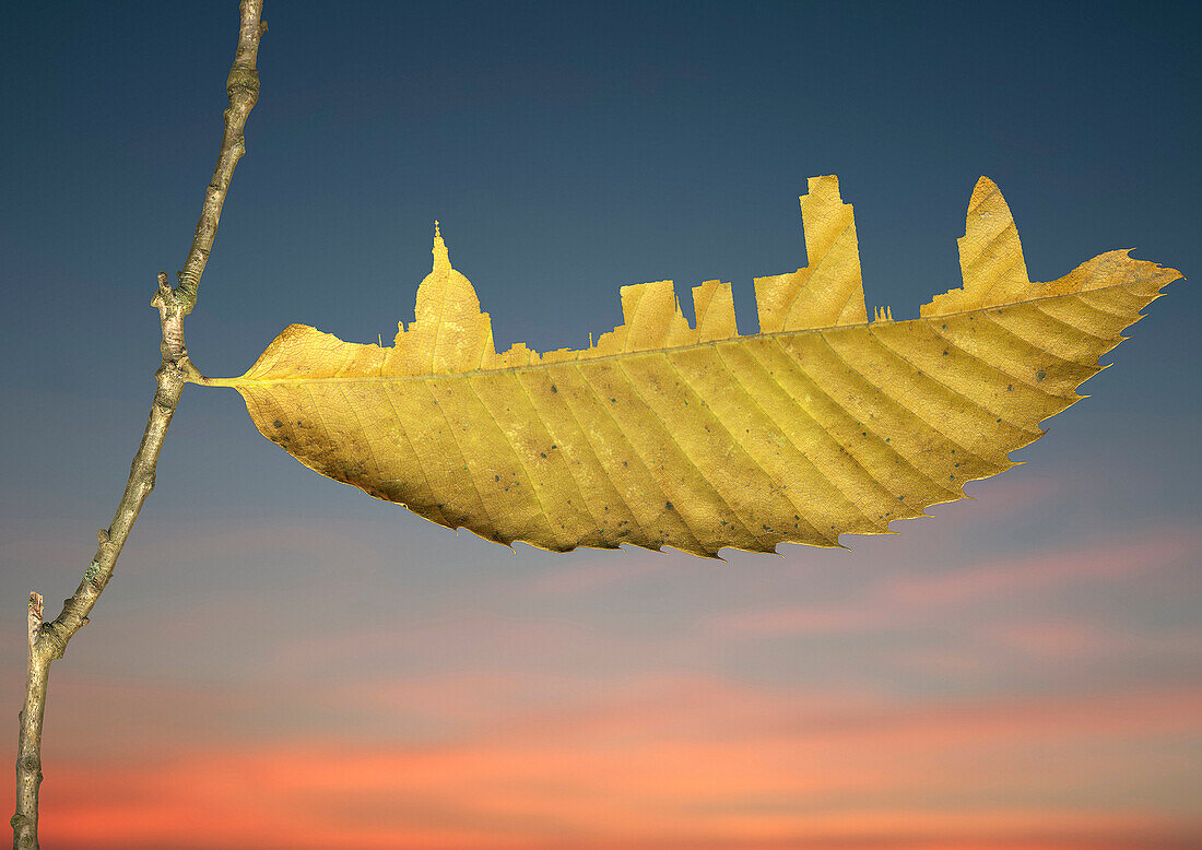 City skyline cut in yellow leaf. London SkyLine