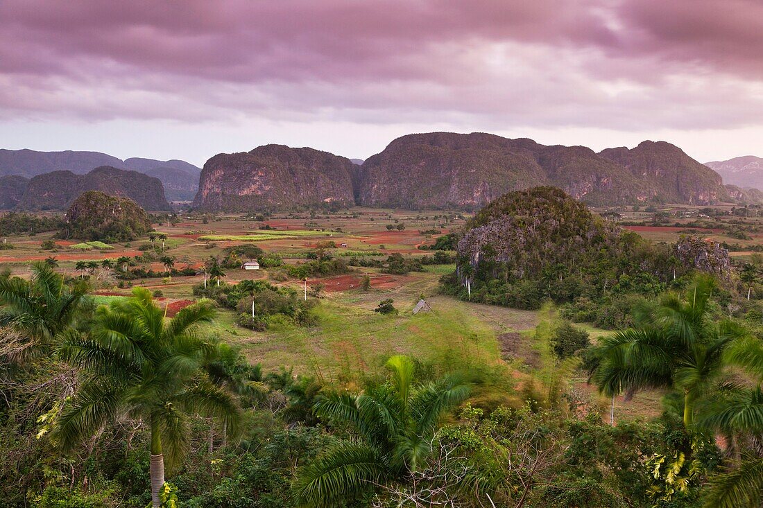 Cuba, Pinar del Rio Province, Vinales, Vinales Valley, elevated view, morning