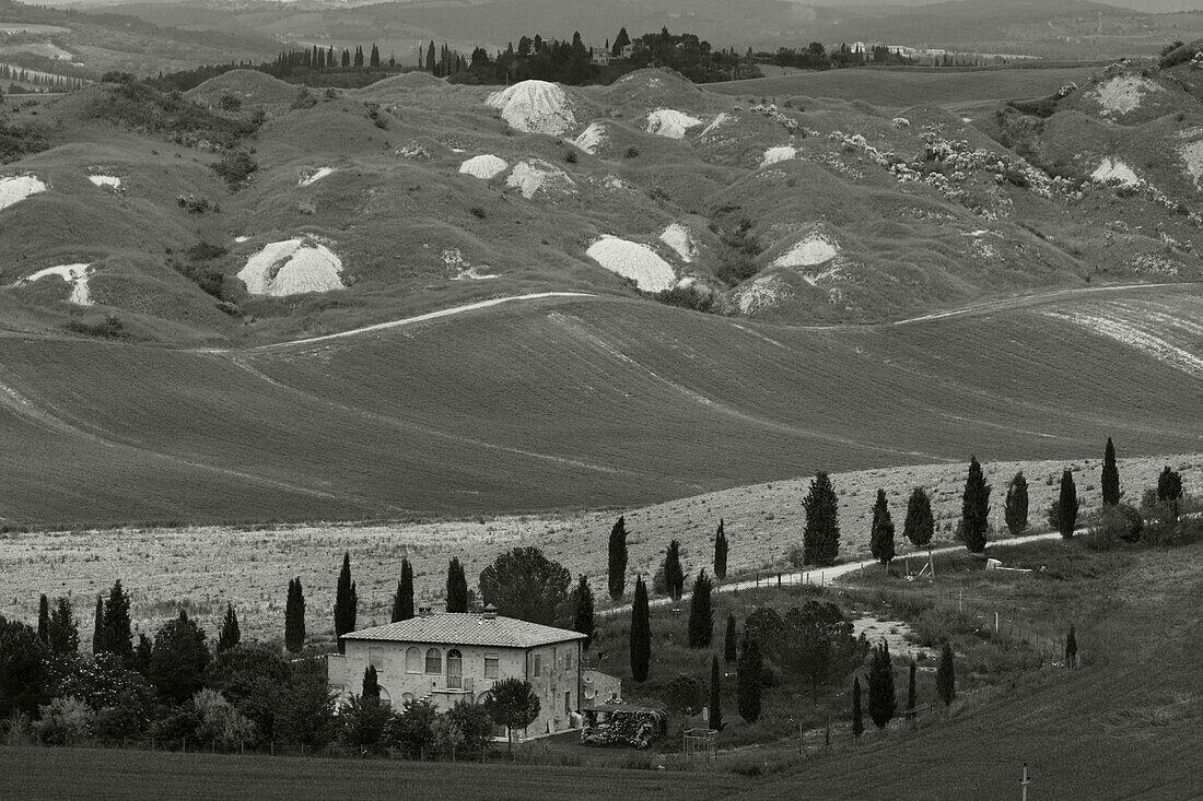 Crete, Landschaft mit Lehmhügeln, bei Taverne dArbia, Val dOrcia, UNESCO Weltkulturerbe, typisch toskanische Landschaft, bei Taverne d´Arbia, bei Siena, Provinz Siena, Toskana, Italien, Europa