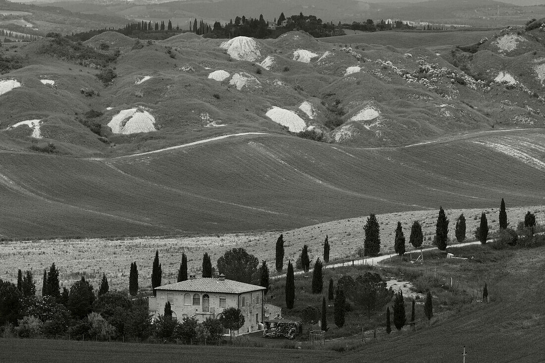 Crete, landscape with clayhills, cottage, cypresses, Val dOrcia, Orcia valley, UNESCO World Heritage Site, typical Tuscan landscape, near Taverne d´Arbia, province of Siena, Tuscany, Italy, Europe