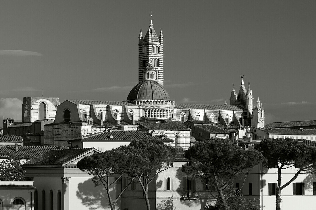 Townscape with Duomo Santa Maria, Siena, UNESCO World Heritage Site, Tuscany, Italy, Europe