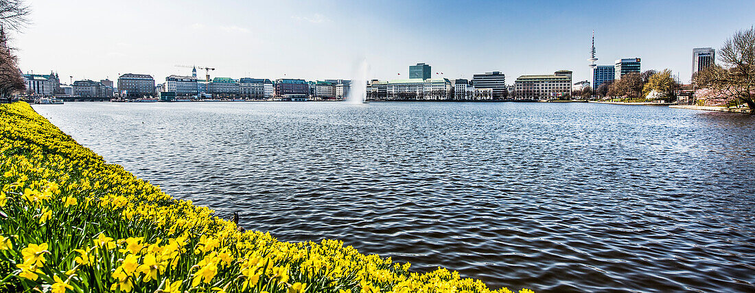 The Binnenalster of Hamburg at springtime, Hamburg, Northern Germany, Germany