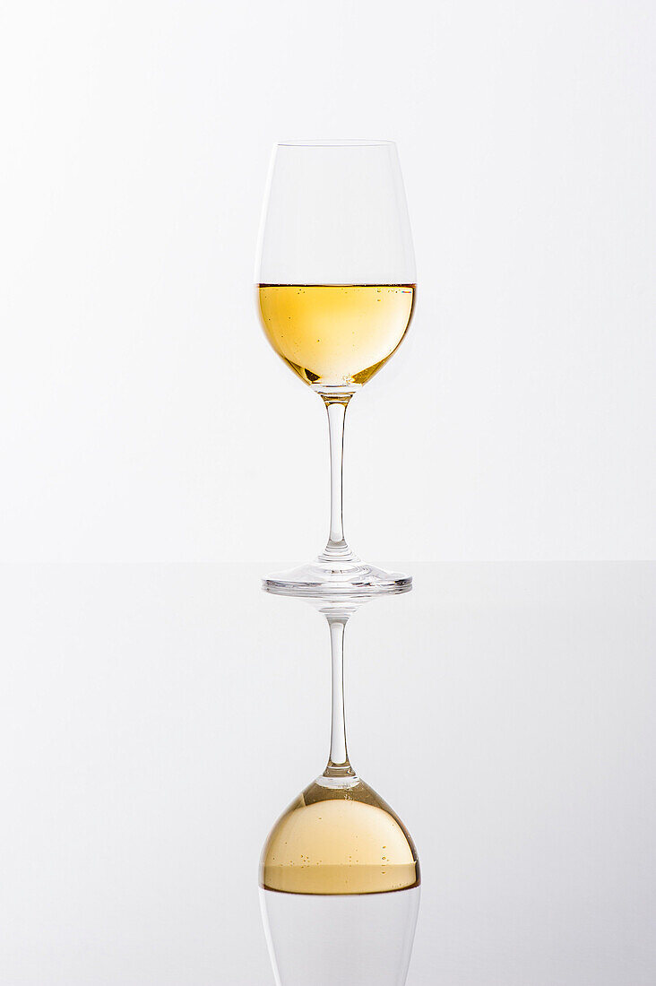 Glass of white wine with reflection, Hamburg, Northern Germany, Germany