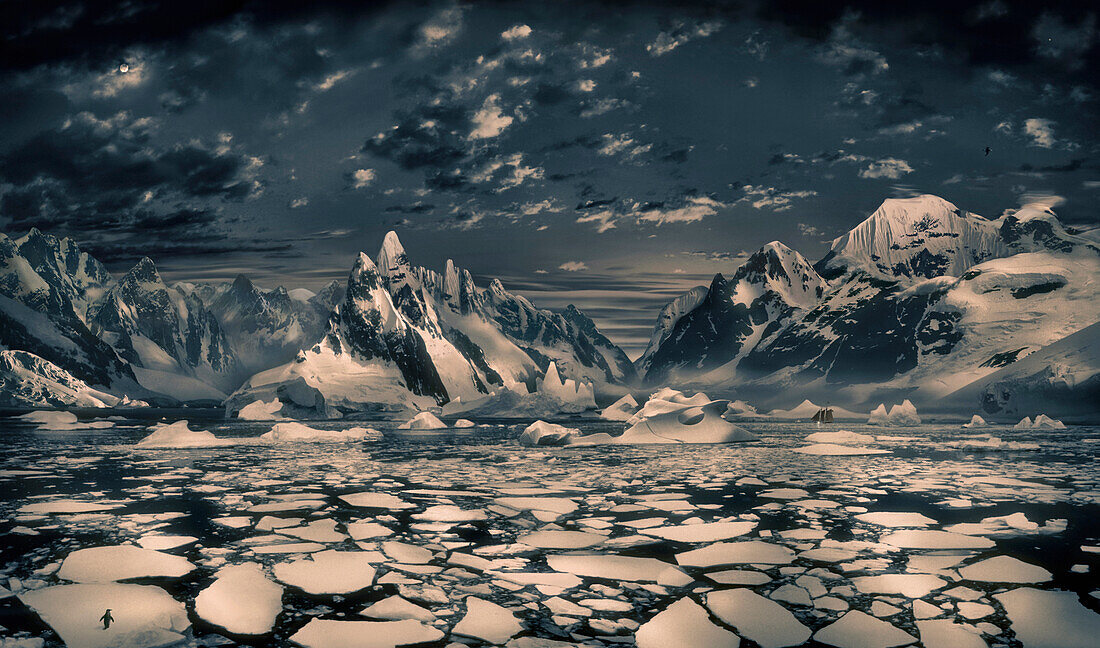 A lonely pinguin watching  ice bergs, ice bergs and landscape panorama, Antarctic Peninsula, Antarctica