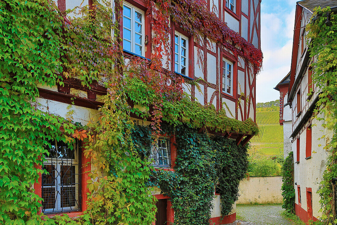 Altes Rathaus (1545) in Pünderich, Mosel, Rheinland-Pfalz, Deutschland, Europa