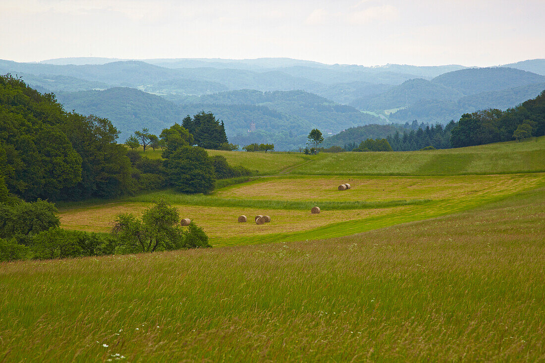 Landscape at the Korn-Berg near Donsbach, Rothaarsteig, Westerwald, Hesse, Germany, Europe