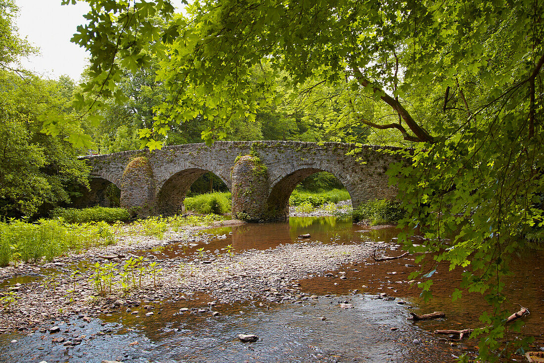 Blick auf die alte Bogenbrücke über die Große Nister, Nistertal, Abtei Marienstatt, Westerwald, Rheinland-Pfalz, Deutschland, Europa